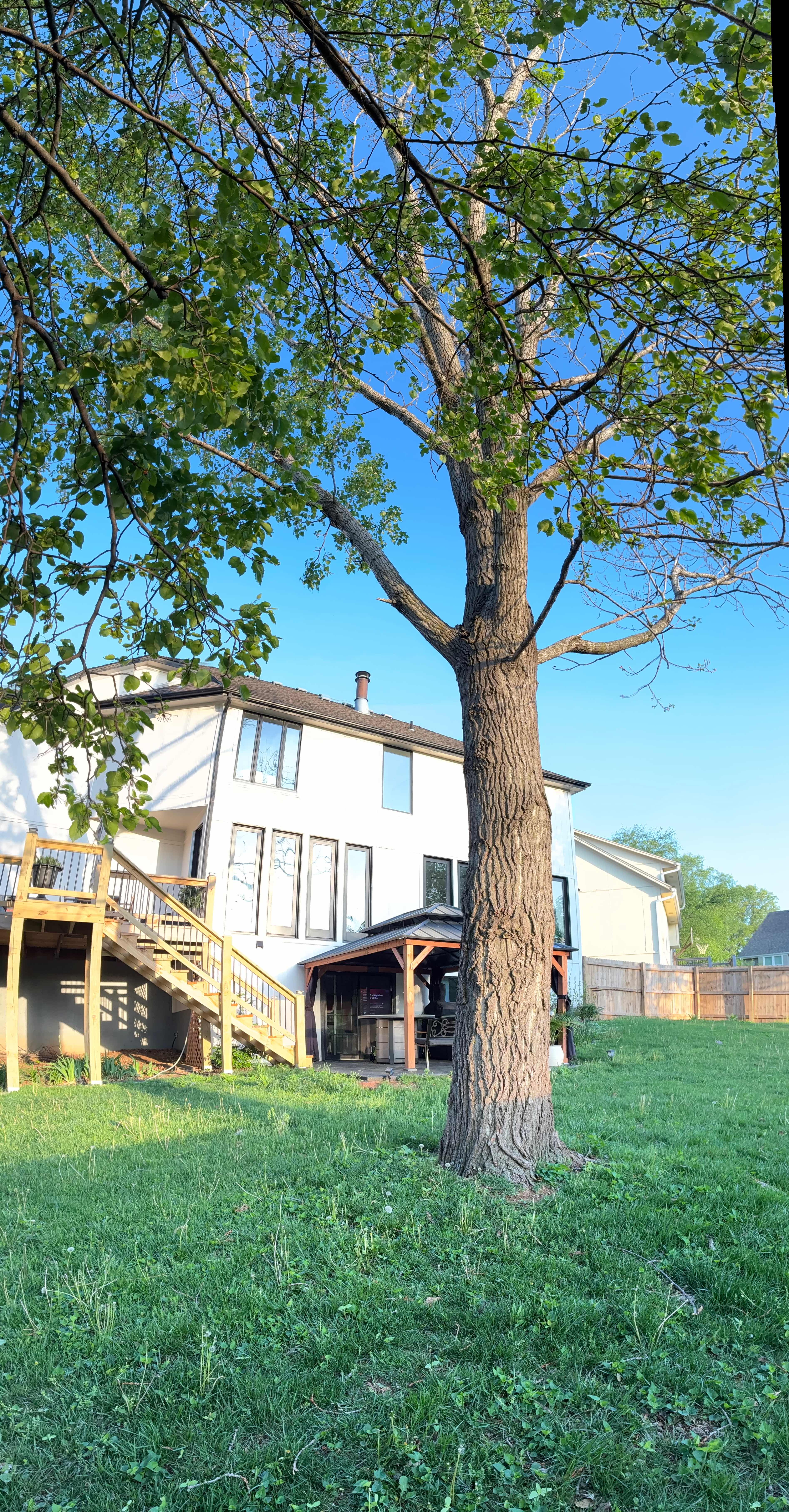 Residential tree service