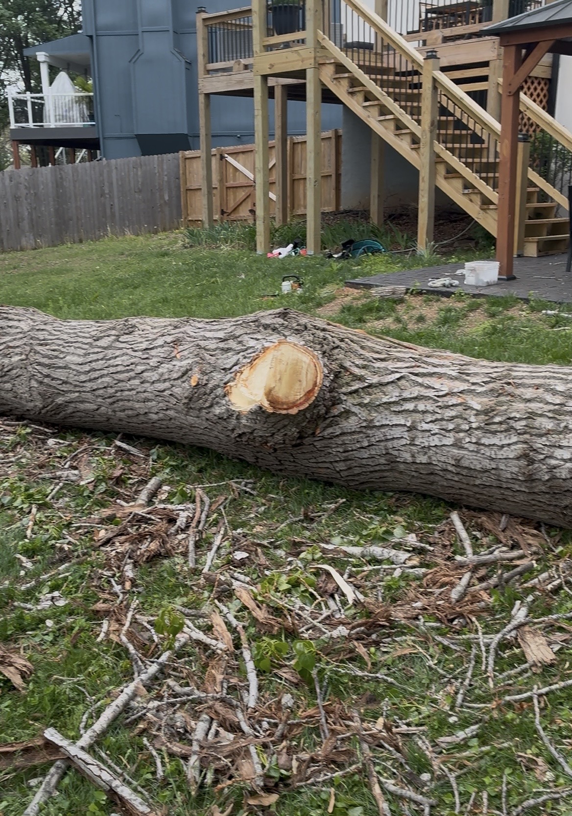 Stump Grinding
