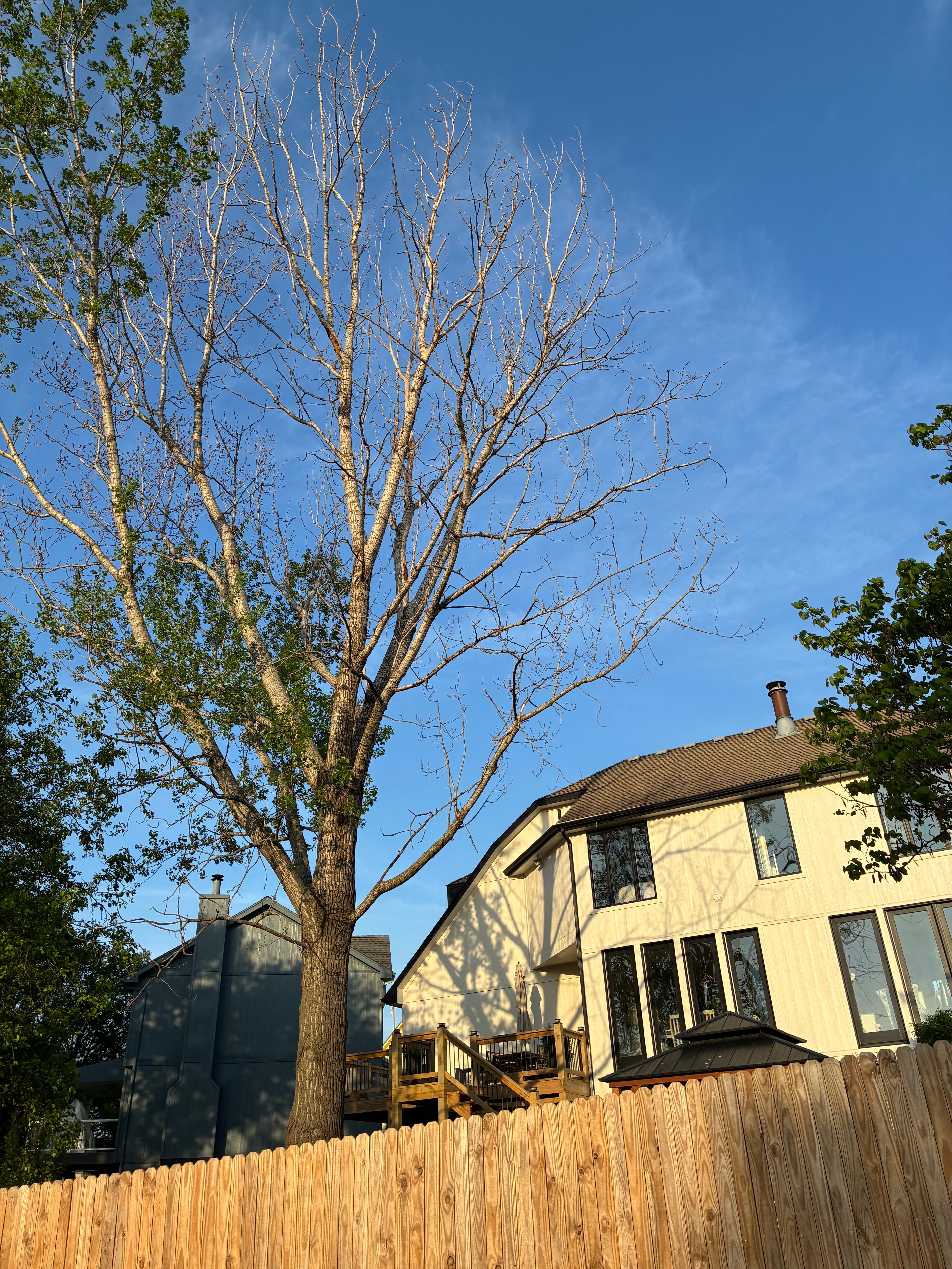 Emergency Storm Damage